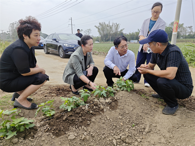 图为调研组在合浦县阳光助残基地调研