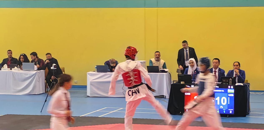 图为跆拳道比赛照片