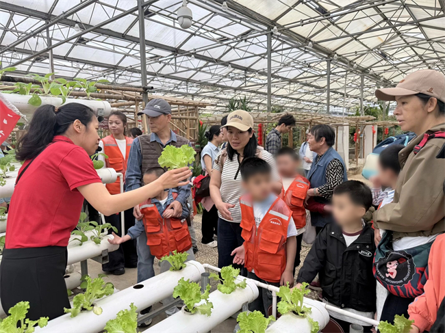 图为参观蔬果种植园 图为参观蔬果种植园